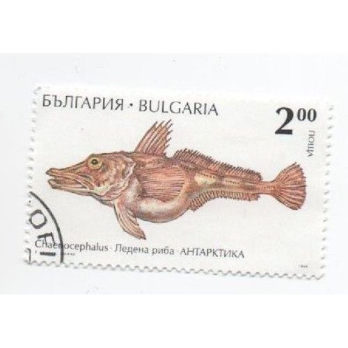 Timbre Bulgarie Bulgar Animaux Marin Faune Antarctique Poisson Oblitéré Gauche Bas  