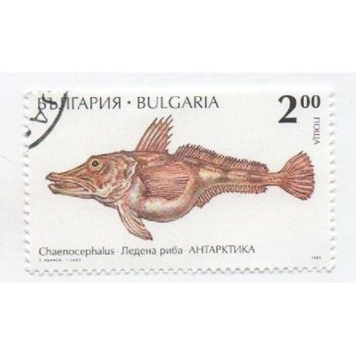 Timbre Bulgarie Bulgar Animaux Marin Faune Antarctique Poisson Oblitéré Haut Gauche 