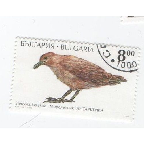 Timbre Bulgarie Bulgar Animaux Oiseau Oiseaux Oblitéré Haut Droite 