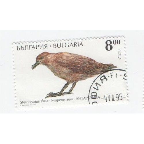 Timbre Bulgarie Bulgar Animaux Oiseau Oiseaux Oblitéré Bas Droite 