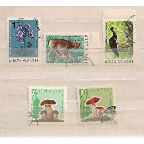 Russie- Lot De 5 Timbres Oblitérés- Fleurs- Champignons- Animaux