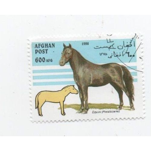 Timbre Oblitéré Afghan Afghanistan Cheval Chevaux Animaux 600