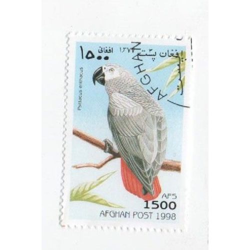 Timbre Oblitéré Afghan Afghanistan Oiseaux Animaux Oiseau 1500