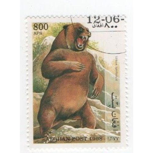 Timbre Oblitéré Afghan Afghanistan Ours Animaux 800