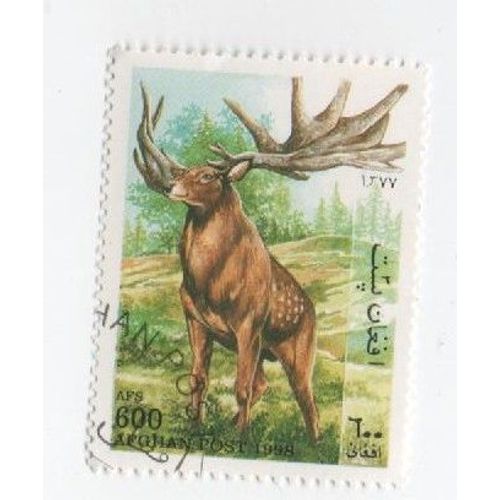 Timbre Oblitéré Afghan Afghanistan Cerf Animaux Animal Geant 600