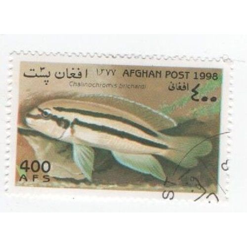 Timbre Oblitéré Afghan Afghanistan Poisson Mer Marin 400