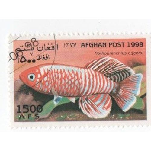 Timbre Oblitéré Afghan Afghanistan Poisson Animaux Marins Mer 1500