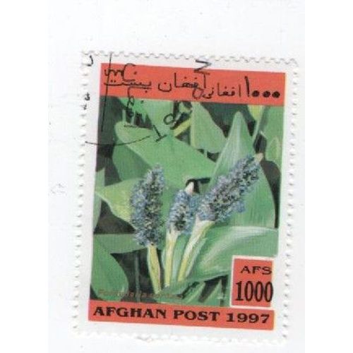 Timbre Oblitéré Afghan Afghanistan Fleurs Fleur Plantes Plante 1000