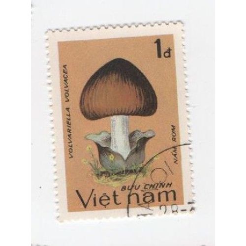 Timbre Vietnam Chamignons Oblitéré 1