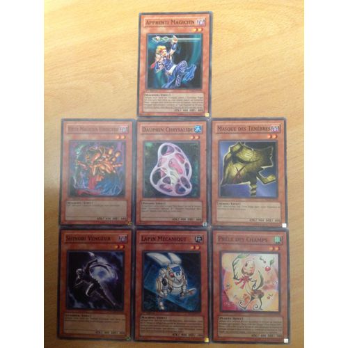 Apprenti Magicien + Masque Des Ténèbres + Dauphin Chrysalide + Vieux Magicien Vindicatif + Prêle  Des Champs + Lapin Mécanique + Shinobi Vengeur 