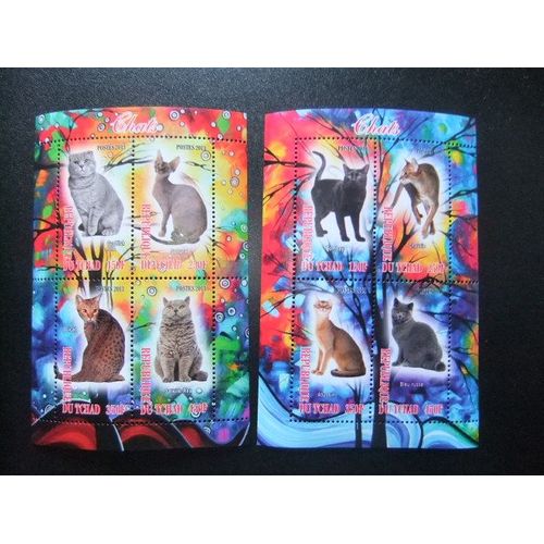 Republique Du Tchad 2013 Gatos Cats Chats Nuevos ** Mnh