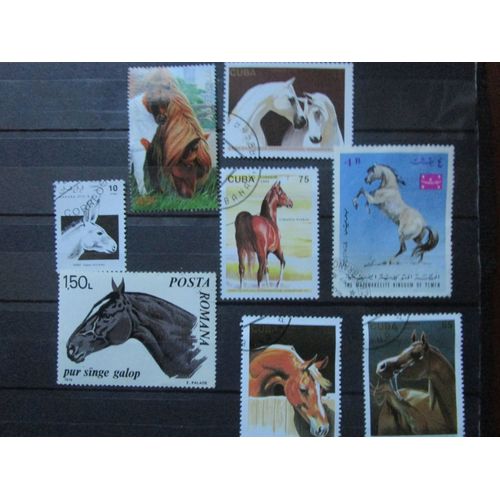 Lot De 8 Timbres Oblitérés "Chevaux"