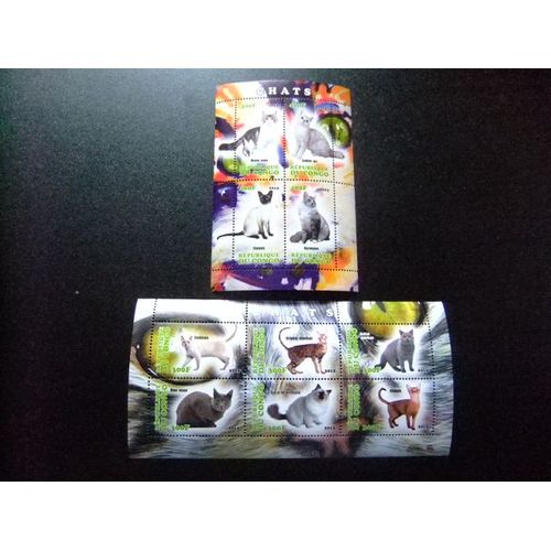 Republique Du Congo 2013 Gatos Cats Chats Nuevos ** Mnh