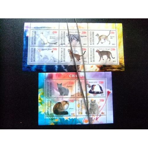Republique De Côte D´Ivoire 2013 Gatos Cats Chats Nuevos ** Mnh