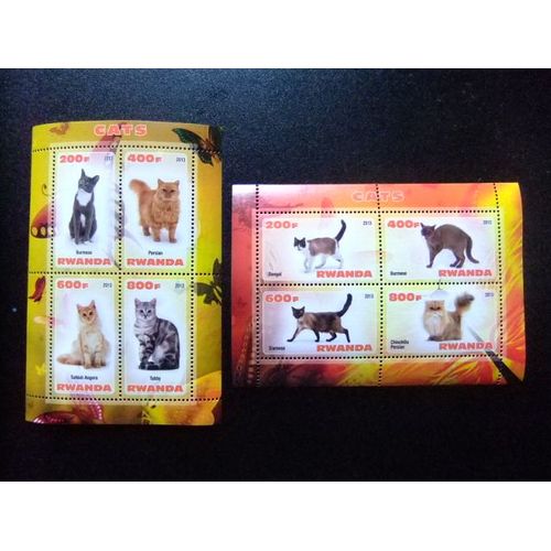 Rwanda 2013 Gatos Cats Chats Nuevos ** Mnh