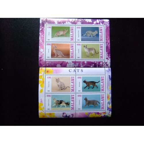 Malawi 2013 Gatos Cats Chats Nuevos ** Mnh