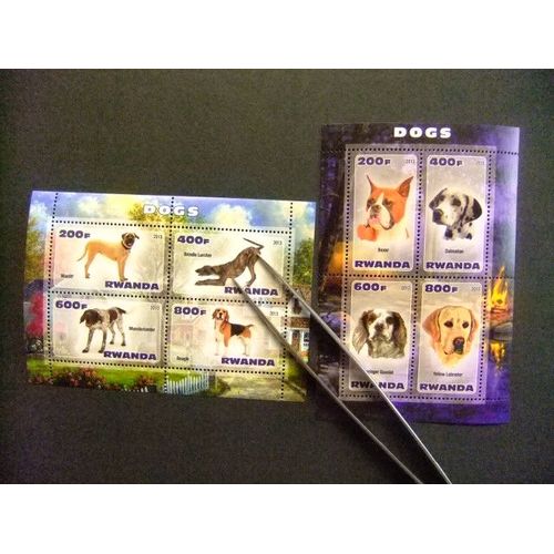 Rwanda 2013 Perros Dogs Chiens Nuevos ** Mnh