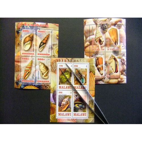 Republique Du Tchad + Malawi + Rwanda 2013 Conchas Seashells Coquillages Nuevos ** Mnh