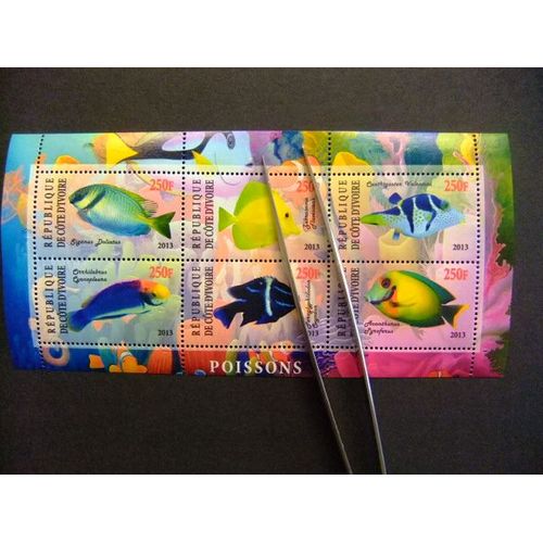Republique De Côte D´Ivoire 2013 Poissons Peces Fishes Nuevos ** Mnh