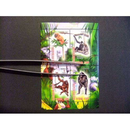 Republique Du Tchad 2013 Fauna Faune Singes Nuevos ** Mnh