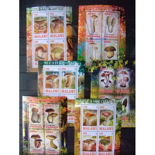 Lote Champignons Mushrooms 2013 Congo Djibouti Rwanda Côte D´Ivoire Chad Nuevos ** Mnh