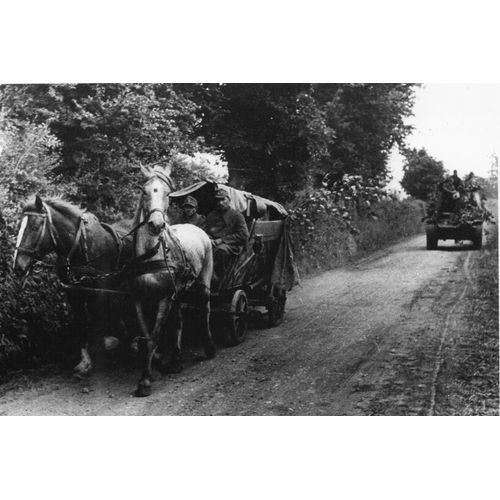 Ww2 - Photo - La Wehrmacht En Retraite En Normandie En 1944