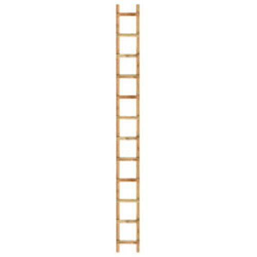 ECHELLE DE TOIT PROFESSIONNEL RENFORCEE 6M