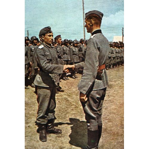 Ww2 Urss - Photo - Troupes De Cosaques De L'armée Allemande
