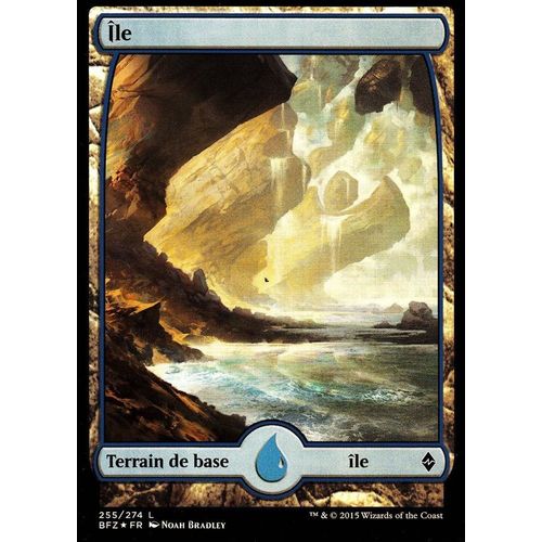 Île - Foil - La Bataille De Zendikar - C - 255/274