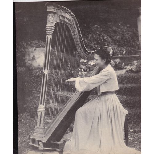 Conte Musical La Rose Du   Jardin De Pigliou 