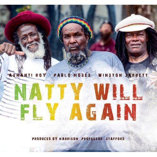 Natty Will Fly Again / Various