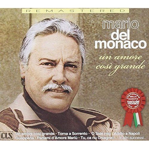 Un Amore Cosi' Grande