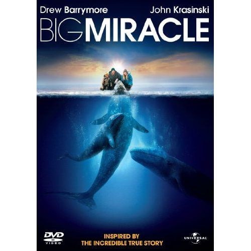 Big Miracle