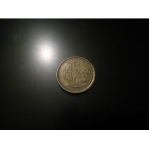 5000 Lira 1996 Turquie Turkey 5000 Lira