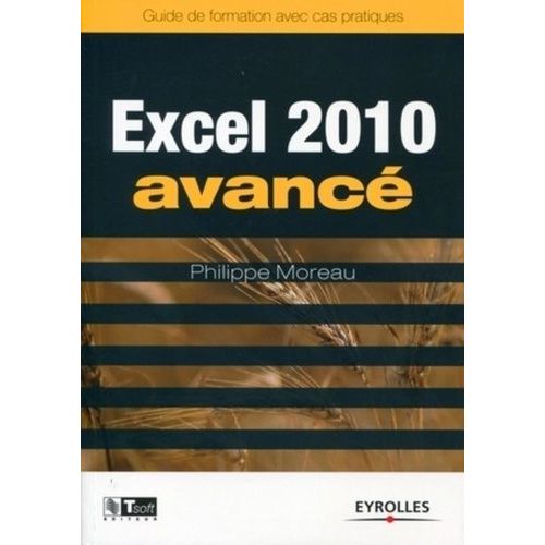 Excel 2010 Avancé: Image, Communication Et Influence À La Portée De Tous