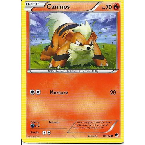 Caninos 10/122 Xy Rupture Turbo 