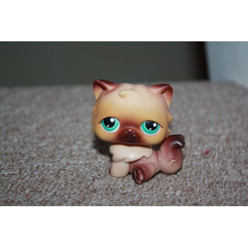 Petshop Chat Persan N 22 Figurine Rakuten