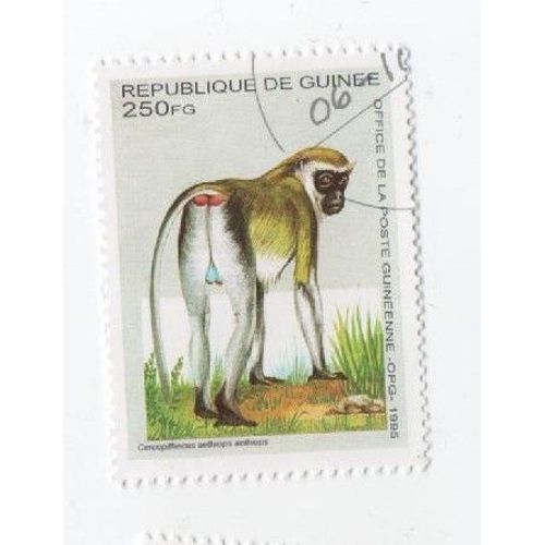 Timbre Guinée Animaux Animal Singe 