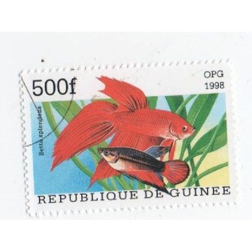 Timbre Guinée Poisson Animaux Marin 