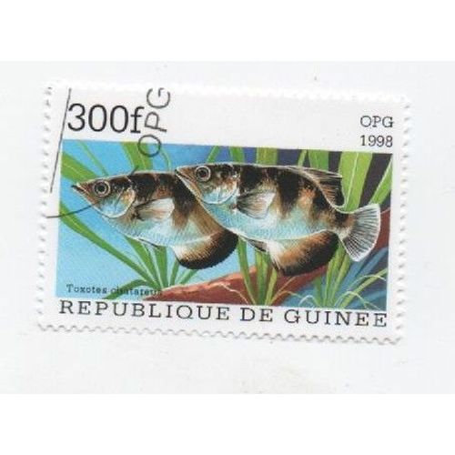 Timbre Guinée Poisson Animaux Marin 