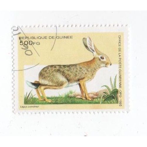 Timbre Guinée Lapin Animaux 