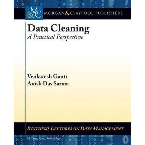 Data Cleaning: A Practical Perspective