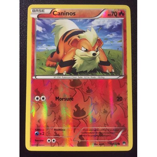 Caninos 10/122 Reverse - Pokemon Xy Rupture Turbo 