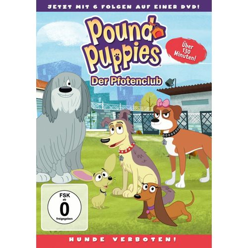 Pound Puppies - Der Pfotenclub: Staffel 2, Vol. 2 - Hunde Verboten!