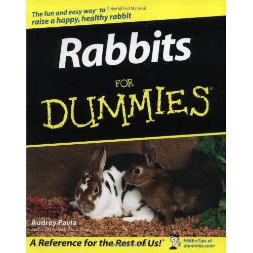 Rabbits For Dummies