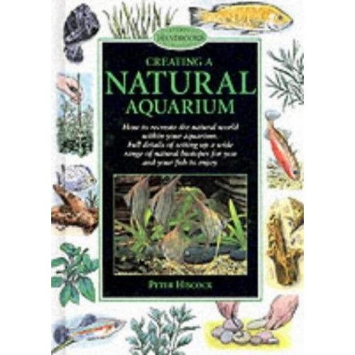 Creating A Natural Aquarium