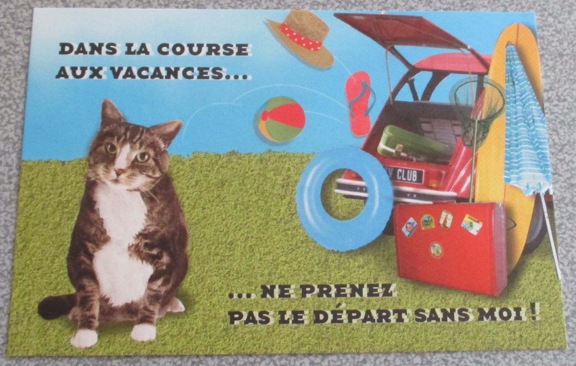 Carte Postale Humoristique En Couleurs De La S P A Contre L Abandon Dans La Course Aux Vacances Ne Prenez Pas Le Depart Sans Moi Modele Chat 10x15cm Rakuten