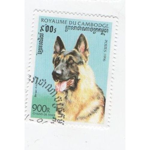 Timbre Chiens Dog Chines De Race Cambodge