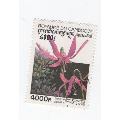 Timbre Cambodge Fleurs Nature Plante 