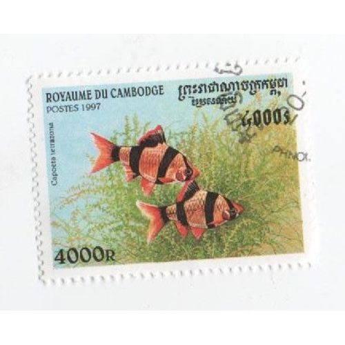 Timbre Cambodge Poisson Animaux Marin 